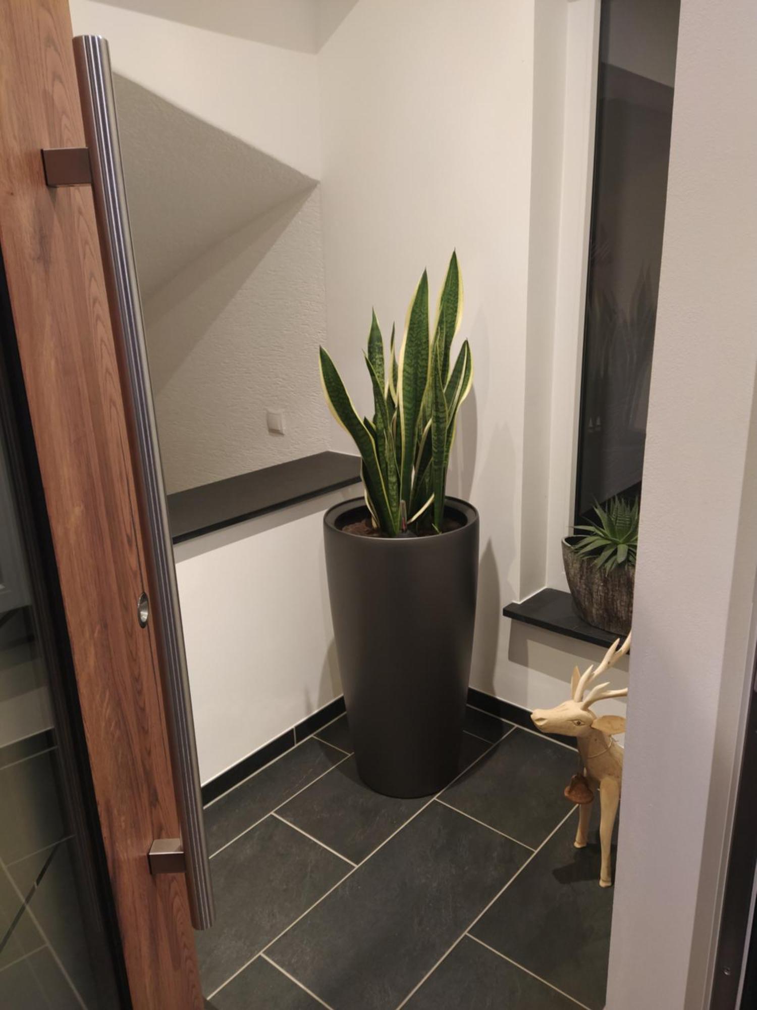 Kleine Auszeit Appartement Cochem Buitenkant foto